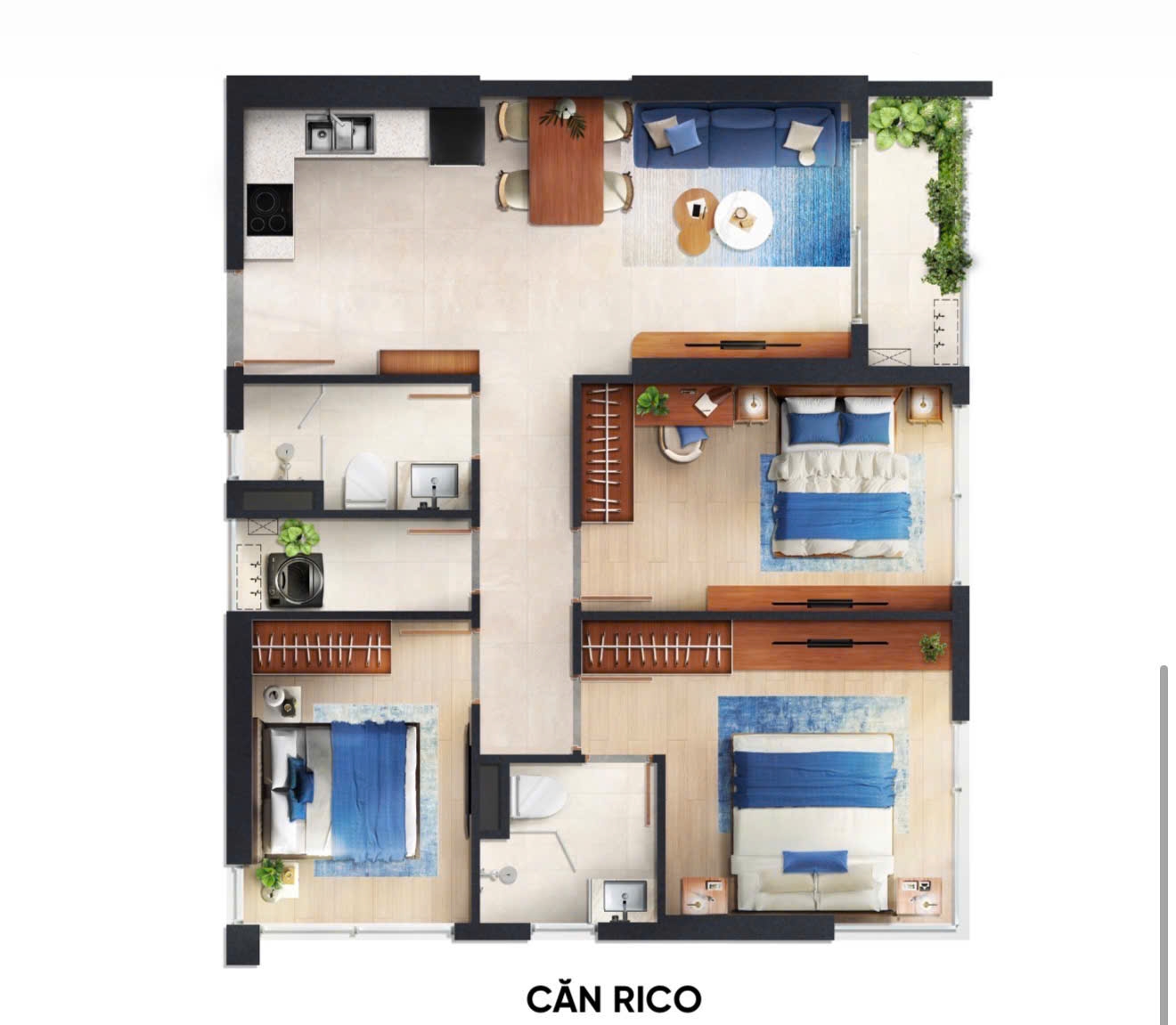 CĂN RICO