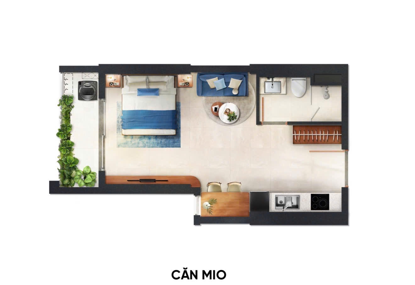 CĂN MIO